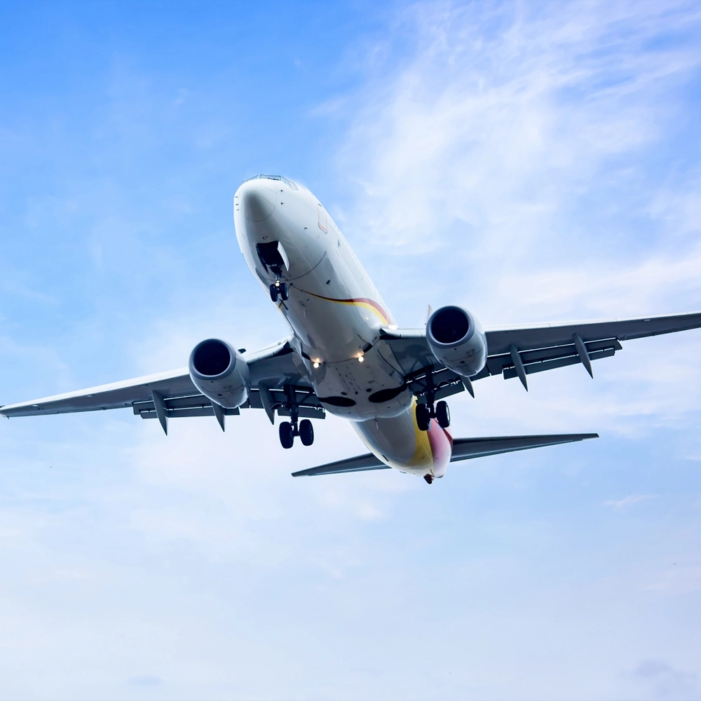 Express air freight and priority cargo delivery service illustration
